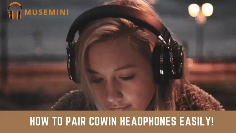 pair cowin headphones